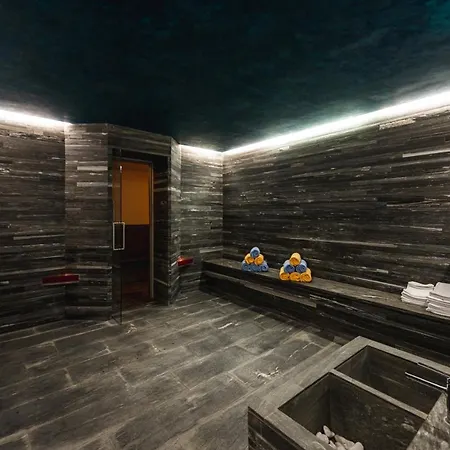 Hotel Arca Aparthotel&spa Zermatt